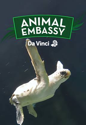 Animal Embassy