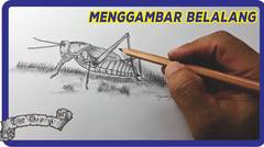 Sangat Mudah!!! Cara menggambar belalang yang sangat mudah sekali dengan pensil
