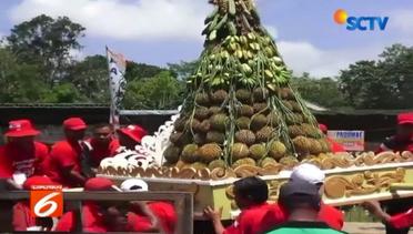 Wujud Syukur Warga, 20 Ribu Buah Durian Diberikan Gratis - Liputan6 Siang