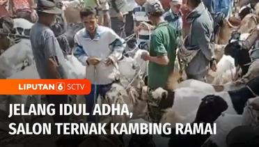 Jelang Idul Adha, Salon Khusus Ternak Kambing di Pasar Hewan Ajibarang Banjir Pelanggan | Liputan 6