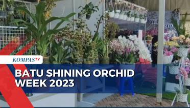 Batu Shining Orchid Week 2023, Pamerkan Koleksi Anggrek dari Berbagai Daerah dan Luar Negeri