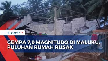 Gempa 7,9 Magnitudo Di Maluku, Puluhan Rumah Rusak