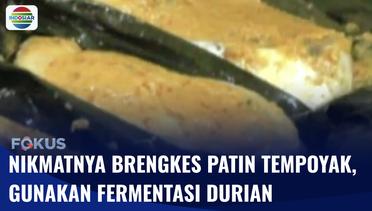 Uniknya Brengkes Tempoyak Patik yang Menggunakan Fermentasi Durian | Fokus