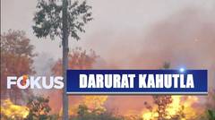 Kebakaran Hutan dan Lahan di Kutai Barat Meluas - Fokus