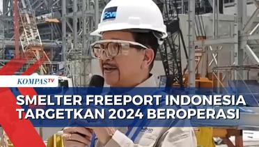 Kementerian BUMN Optimistis, Smelter Freeport di Gresik Beroperasi Tahun 2024