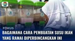 Yuk Cari Tahu: Bagaimana Proses Pembuatan Susu Ikan? | Fokus