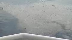 Kronologi jatuhnya Lion Air JT 610 di perairan karawang