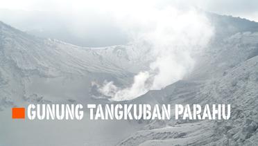 Petugas Bersama Pedagang TWA Gunung Tangkuban Parahu Membersihkan Abu Vulkanik