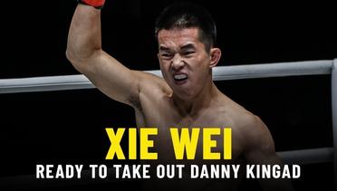 Xie Wei Ready To Take Out Danny Kingad | ONE Feature