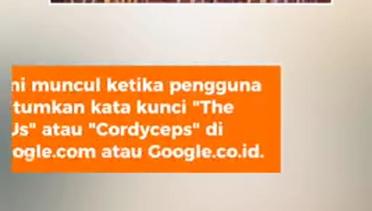 Jamur Cordyceps "Tumbuh" di Layar Saat "Googling" Serial "The Last of Us"