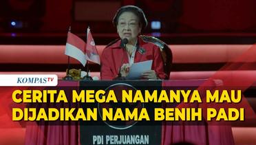Megawati Cerita Namanya Mau Dijadikan Nama Varietas Benih Padi MSP