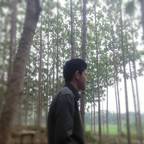 user profile