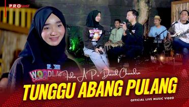 Fida AP X David Chandra - Tunggu Abang Pulang (Official Music Video)