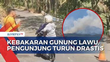 Jumlah Pengunjung Wisata Kebun Teh Jamus di Ngawi Menurun Akibat Kebakaran Gunung Lawu