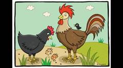 Kartun Anak Induk Ayam Dan Musang