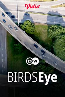 DW - Birds Eye