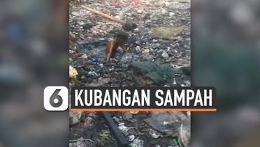 Viral Video Anak Kecil Asik Berenang di Kubang Sampah