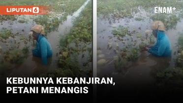 Pilu! Petani Menangis Karena Kebun Miliknya Terendam Banjir