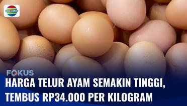 Harga Kebutuhan Pokok Masih Tinggi, Telur Ayam Naik Capai Rp34