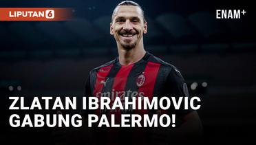 Ibrahimovic Gabung Palermo!
