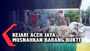 Kejari Aceh Jaya Musnahkan Barang Bukti Satwa Liar