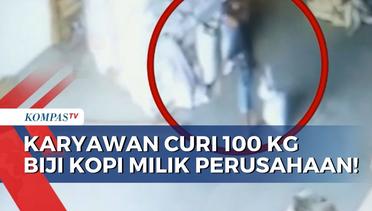 CCTV Rekam Aksi Karyawan Lakukan Pencurian 100 Kilogram Biji Kopi Milik Perusahaan!