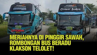 Keceriaan di Pinggir Sawah, Rombongan Bus Terlarut Dalam Asiknya Beradu Klakson Telolet!