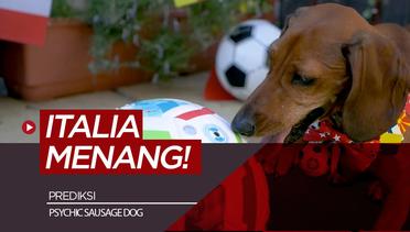 Anjing Psychic Sausage Dog Buat Prediksi Semifinal Euro 2020, Italia Kalahkan Spanyol