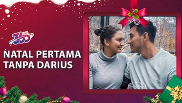 16 Tahun Menikah! Donna Agnesia Rayakan Natal Tanpa Darius Sinathrya