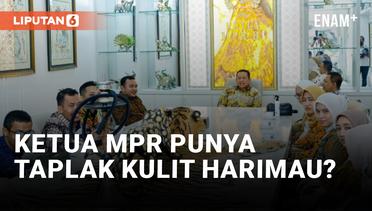 Bambang Soesatyo Klarifikasi Taplak Meja Kulit Harimau di Kantornya