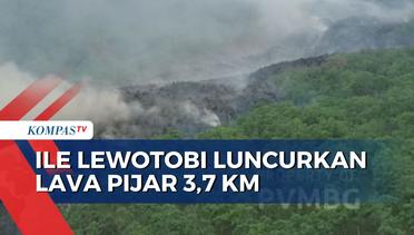 Erupsi Gunung Ile Lowotobi, Jarak Luncur Lava Pijak Makin Jauh Jadi 3,7 Kilometer!