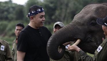 Kisah Tulus Bantu Guru Belajar Lagi hingga Selamatkan Gajah
