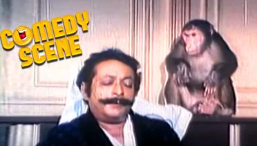 Dinesh Hingoo & Monkey Funny Scene | Comedy Scene | Paap Ka Ant | Govinda, Madhuri Dixit | HD