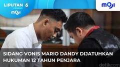Mario Dandy Di Hukum 12 Tahun Penjara. - Liputan 6 Pagi | Moji