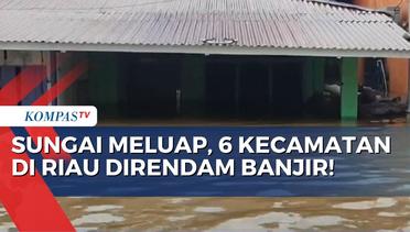 Enam Kecamatan di Riau Terendam Banjir, Aktivitas Sosial dan Ekonomi Warga Lumpuh