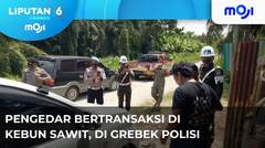 Penggrebekan Transaksi Narkoba - Liputan 6 Moji Pagi