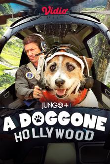 A Doggone Hollywood