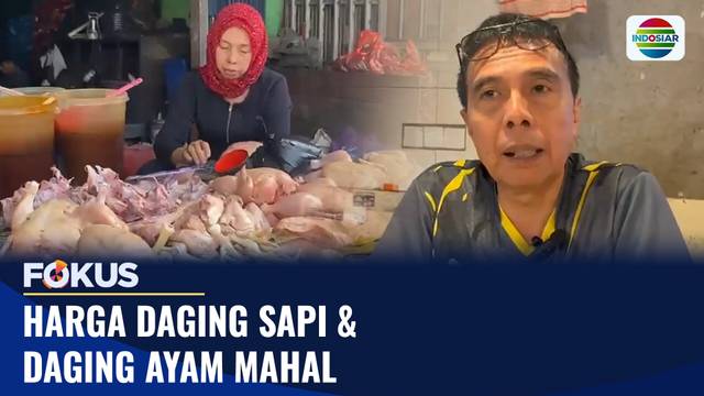 Harga Daging Sapi & Daging Ayam Mahal | Fokus