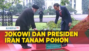 Jokowi dan Presiden Iran Tanam Pohon Kayu Ulin di Istana Bogor