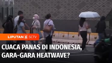 Cuaca Panas di Indonesia, Apakah Gara-Gara Heatwave? | Liputan 6