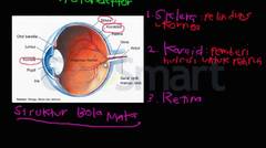 Struktur Bola Mata