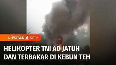 Helikopter TNI AD Jenis Bell 412 Jatuh dan Terbakar di Kebun Teh saat Digunakan Latihan | Liputan 6