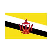 Timnas Brunei Darussalam U23