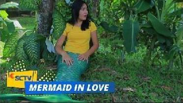 Highlight Mermaid In Love - Episode 26