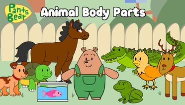Animal Body Parts |  Bagian Tubuh Hewan