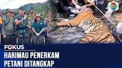 Harimau Sumatra Penyerang Petani di Lampung Barat Berhasil Ditangkap dan Dievakuasi | Fokus