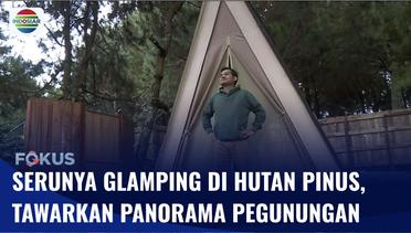 Serunya Glamping di Hutan Pinus yang Berlokasi di 1.600 MDPL | Fokus
