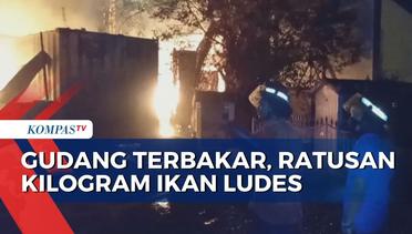 Api Hanguskan Gudang Ikan Teri di Medan, Mesin Perahu dan Baling-Baling Kapal Ikut Ludes Terbakar
