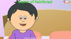 Rainforest for Kids