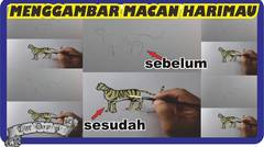 Hobi Menggambar | Cara menggambar harimau dengan mudah diawali dengan coret-coretan